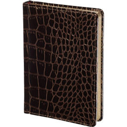 Ежедневник недатированный А6+ Caiman (коричневый)3-498 Д - Attache фото 2