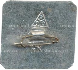 Значок Владимир