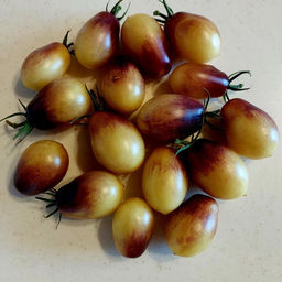 7073T Томат Сказочный ангел 10шт