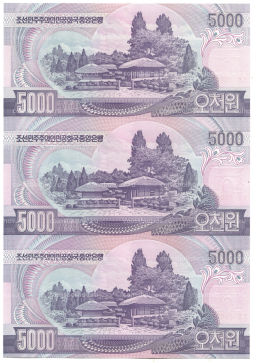 Банкнота 5000 вон 2006 года Северная Корея Лист из трех банкнот