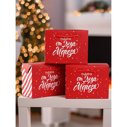 Набор пакетов «Подарок», 3 шт, 23 × 18 × 11 см