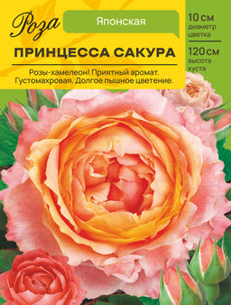 Роза Принцесса Сакура (Японская) С ЦВ.НАКЛЕЙКОЙ 1шт