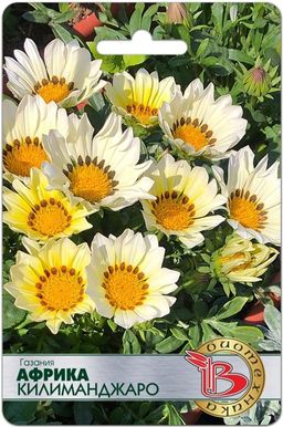 Газания Африка Фламинго - Биотехника фото 4