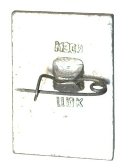 Значок Гусь-Хрустальный