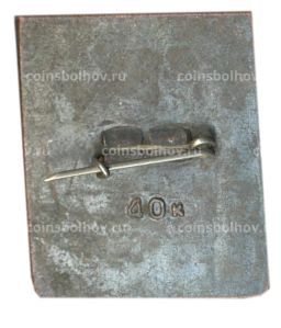 Значок Рига