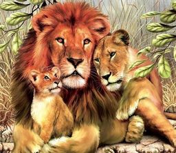 Львиная семья - Colibri фото 2