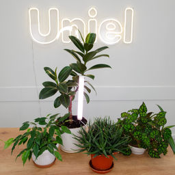 ULT-P39-6W/SPLE IP40 WHITE Светильник для растений светодиодный, высота 320мм, на колышке. Спектр для фотосинтеза. TM Uniel