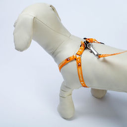 Комплект Любимчик, шлейка 24-34 см, поводок 120х1 см - Пушистое счастье фото 5