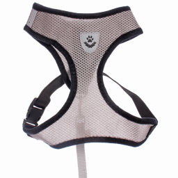 Цена за 2 шт. Шлейка с поводком 118см "Sweet puppy" размер ХL, цвет серый