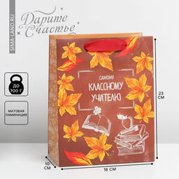 Цена за 2 шт. Пакет подарочный ламинированный, упаковка, «Классному учителю», MS 18 х 23 х 10 см