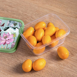 Цена за 2 шт. Контейнер для продуктов прямоугольный 0,85л с декором (зеленый) 222132118/08