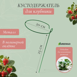 Цена за 10 шт. Кустодержатель для клубники, d=20 см, h=25 см, ножка d=0.3 см, металл, зелёный, Greengo