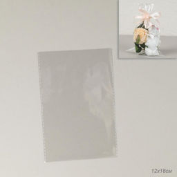 Пакет прозрачный для упаковки 2,5 микр 12х18 / T-1236-PR /уп 100/10000/прозрачный