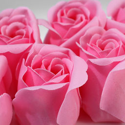 Подарочный набор ежедневник А5.80 листов и мыльные лепестки «Счастье в каждом дне»