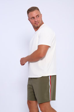 Шорты мужские 35336