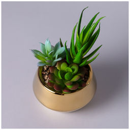 СУККУЛЕНТ ИСКУССТВЕННЫЙ В ГОРШКЕ 11*15СМ - Lefard фото 2