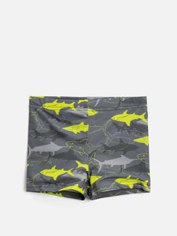 ACOOLA / Трусы купальные детские для мальчиков Orlando хаки принт