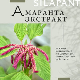 Силапант Ночной крем для лица с пантогематогеном