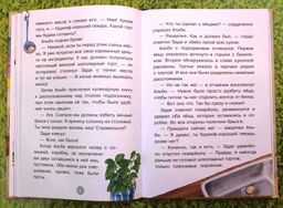 Эдди спасает Крумпфбург. Самый смелый тролль (ил. Б. Кортуэс) (#5)