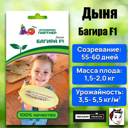 3018P Дыня БАГИРА F1 5шт