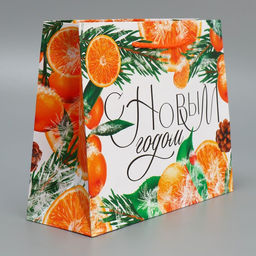 Пакет ламинированный горизонтальный Цитрусовый коктель, MS 23 18 8 см - Доступные радости фото 2