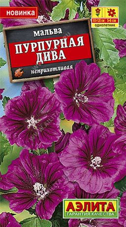 Мальва Пурпурная дива