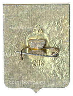 Значок Кострома