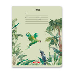 Светоч 24ТЕТк-001 Тетрадь ученическая школьная, A5 24 л. на скобе 65 г/кв.м , белизна 100 % 30 шт. клетка 000721 Саванна  фото 7