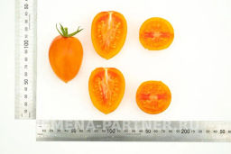 Томат Барокко - Партнер фото 6