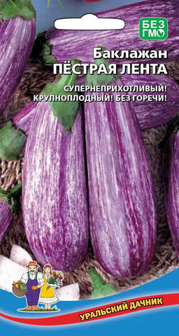 Баклажан ПЁСТРАЯ ЛЕНТА  Супернеприхотлив! Крупноплодный! Без горечи!