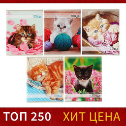 Тетрадь 36 листов в клетку Calligrata Котята, обложка мелованный картон, блок офсет, МИКС