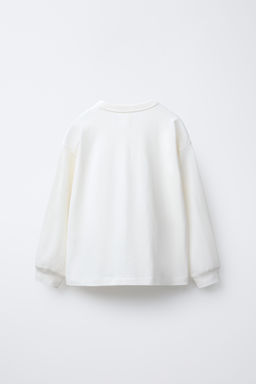 CHAMPION ® X ZARA PATCH T-SHIRT  фото 2