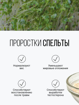 Смесь из семи видов проростков 200г (пшеница, полба, спельта, рожь, овес, чечевица, зеленая гречка)