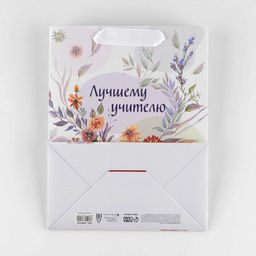 Цена за 2 шт. Пакет подарочный ламинированный, упаковка, «Лучшему учителю», MS 18×23×10 см