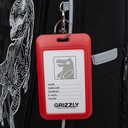 RAf-493-2 Рюкзак школьный - Grizzly фото 30
