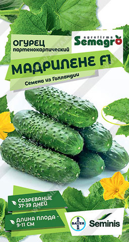 Огурец Мадрилене F1 (2028