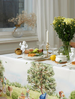 Набор кухонный Family picnic: скатерть 150?220 см  3 см с ВГМО, салфетки 40?40 см - 12 шт., 100% хлопок