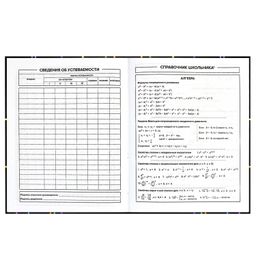 Дневник школьный арт. 60241 НЕОНОВЫЙ КРОССОВОК - Феникс+ фото 9