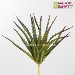 188 Алоэ 23 см - Без тм фото 2