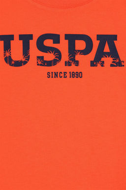 Базовая футболка с цветком граната для мальчиков - U.s. polo assn фото 3