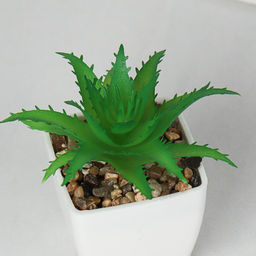 Цветочная композиция Кактус / WER-19 /уп 12/192/ микс - Галеонтрейд фото 13