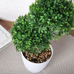 Цветочная композиция Зелень самшит 29 см / 9090-10 /уп 9/72/ - Галеонтрейд фото 7