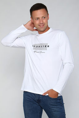 Лонгслив 55063 с дл рукавом