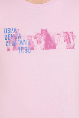 U. S. Polo Assn Мужская футболка с круглым вырезом Магнолия - U.s. polo assn фото 6