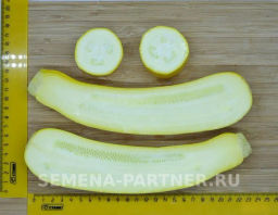 Кабачок Желтоплодный - Партнер фото 6