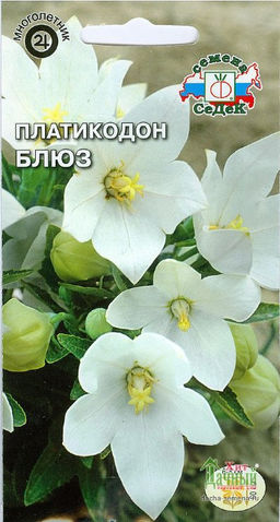 Платикодон Блюз (белый) 0,1г (СеДеК)