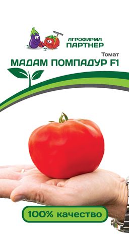 Томат Мадам Помпадур