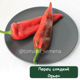Перец Орьен - Tomatia фото 2