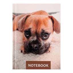 Блокнот А6, 64 листа в клетку Лучший друг, твёрдая обложка, блок офсет