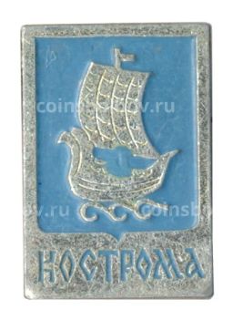 Значок Кострома